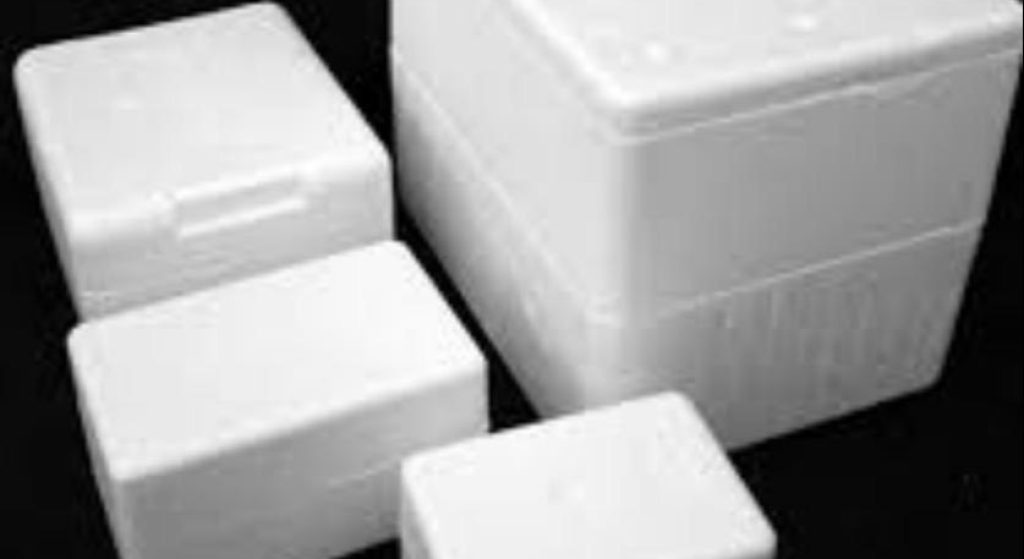 Small Thermocol Box – Pak Dry Ice